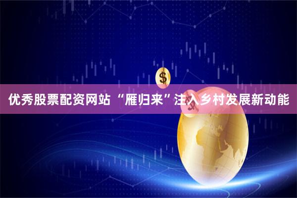 优秀股票配资网站 “雁归来”注入乡村发展新动能