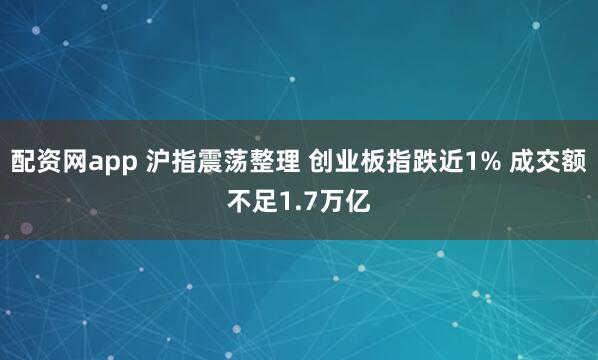配资网app 沪指震荡整理 创业板指跌近1% 成交额不足1.7万亿