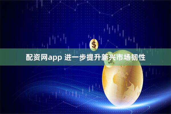 配资网app 进一步提升新兴市场韧性